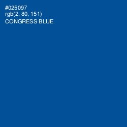 #025097 - Congress Blue Color Image